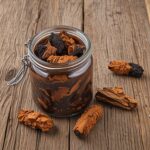 Comment conserver le chaga pour garder ses propriétés