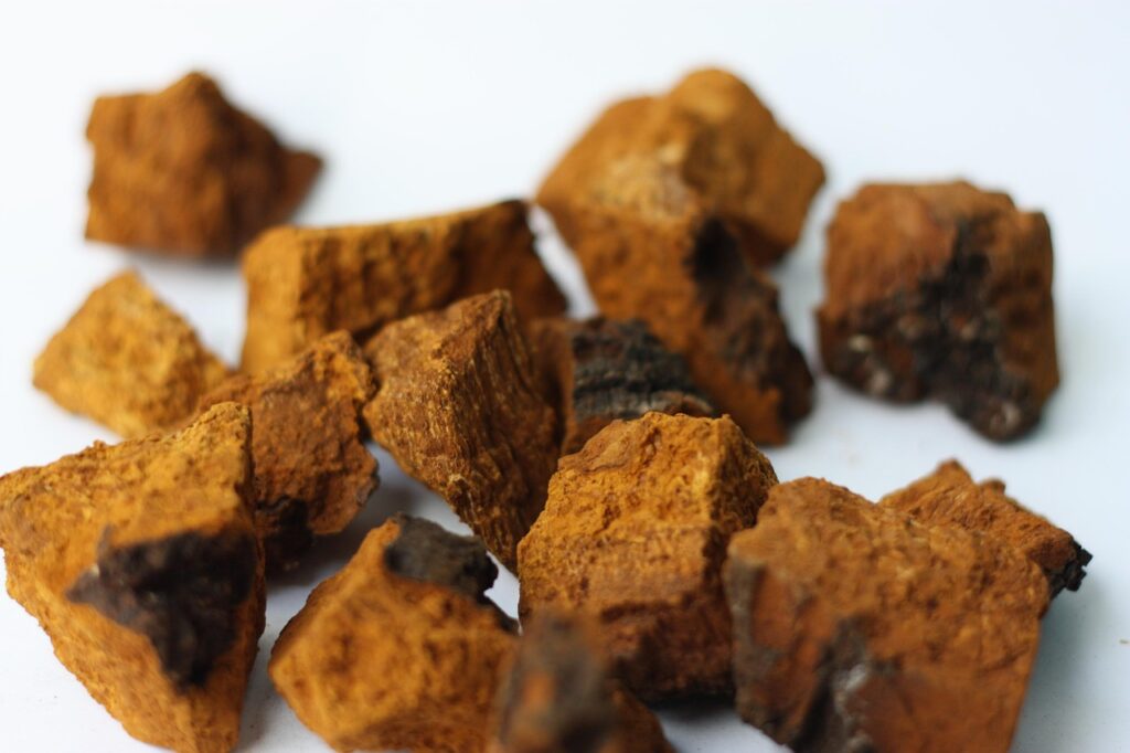 Temps d’infusion idéal pour le chaga