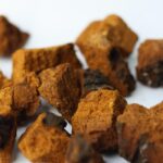 Temps d’infusion idéal pour le chaga
