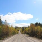 Où trouver du chaga au Québec (guide des forêts)